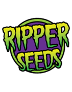 RIPPERS SEEDS