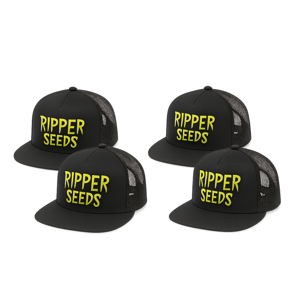 KAPPEN