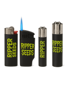 LIGHTERS