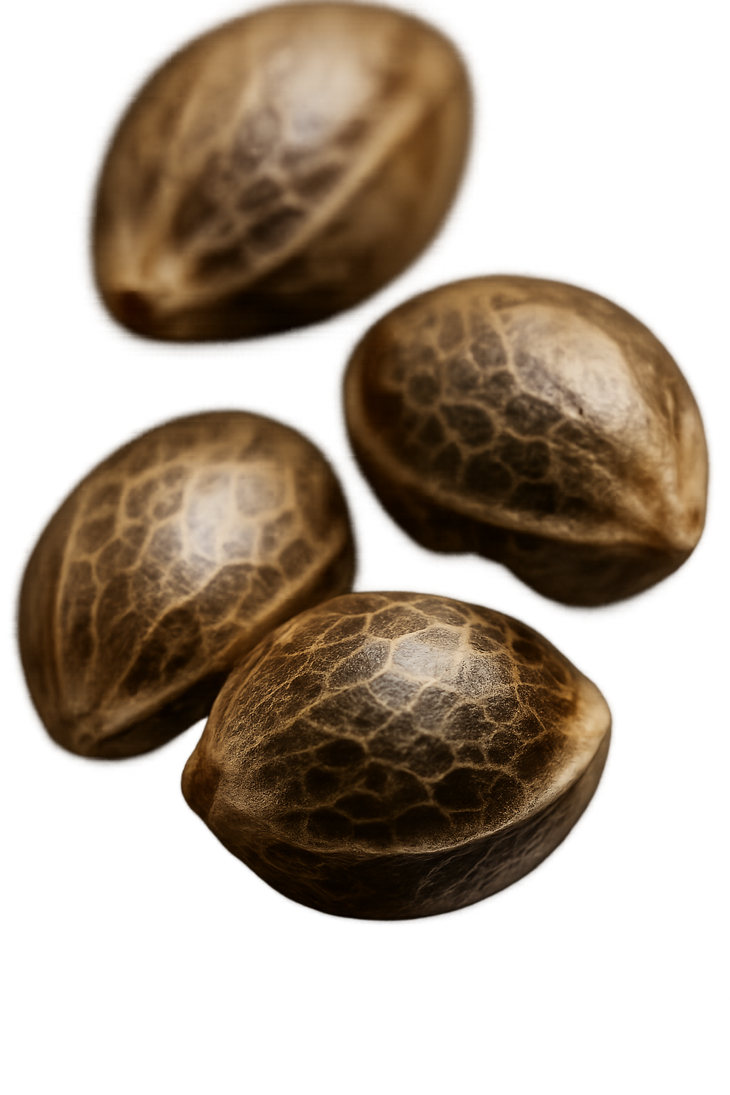 SEMILLAS DE MARIHUANA